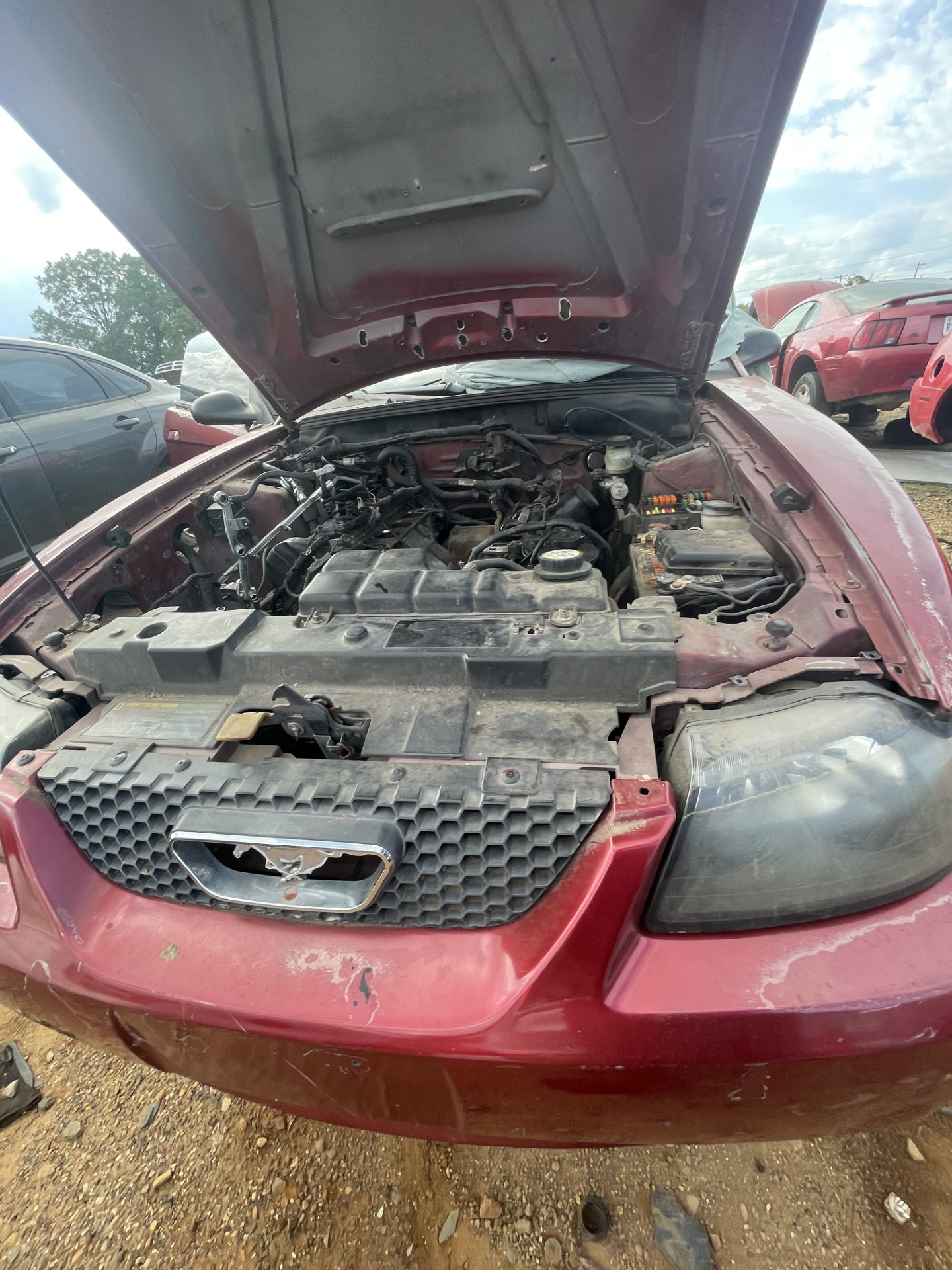2003 FORD Mustang